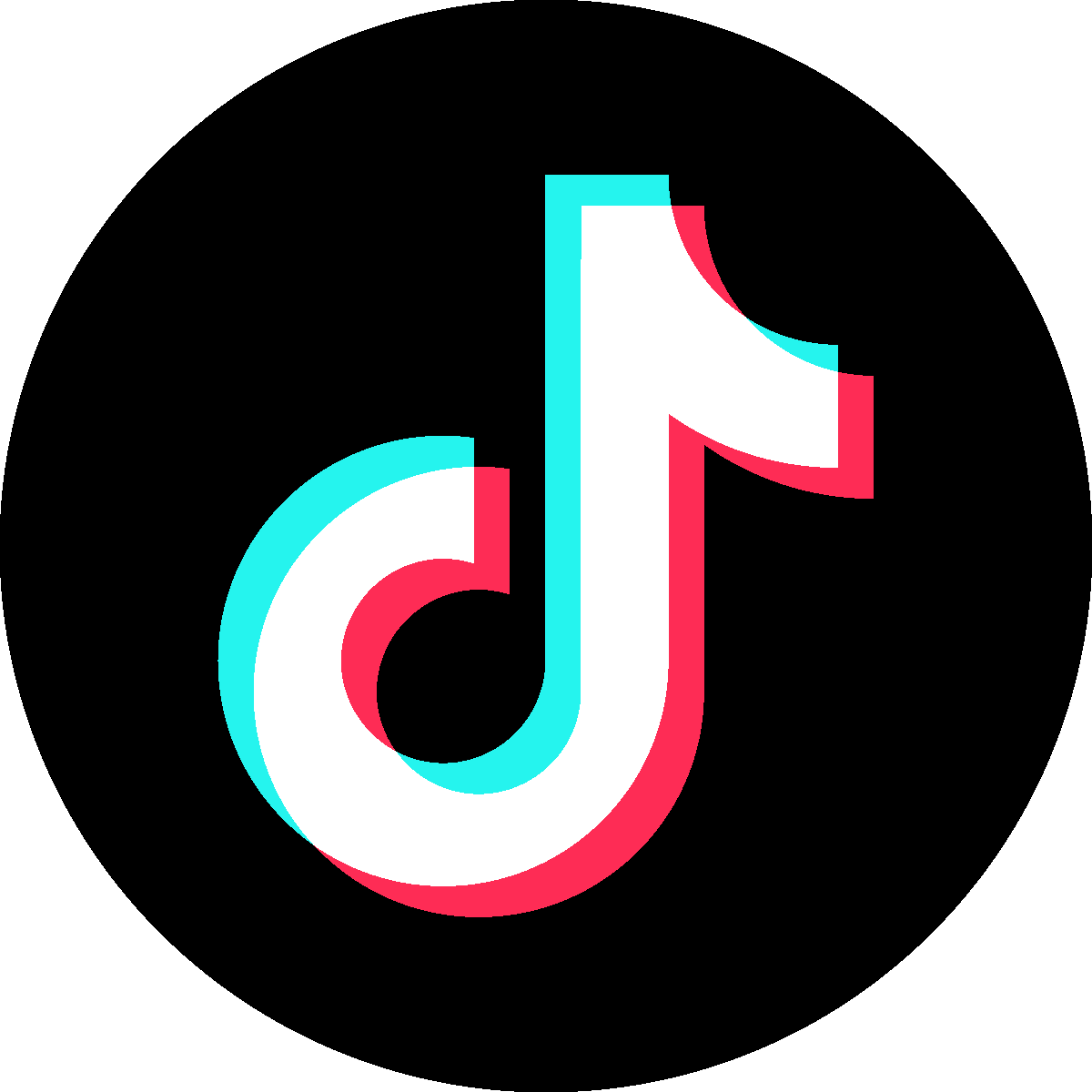 TikTok 完整品牌图标